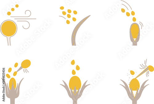 A schematic diagram illustrates six sequential steps detailing the biological process of pollen transfer and fertilization within a flower structure.