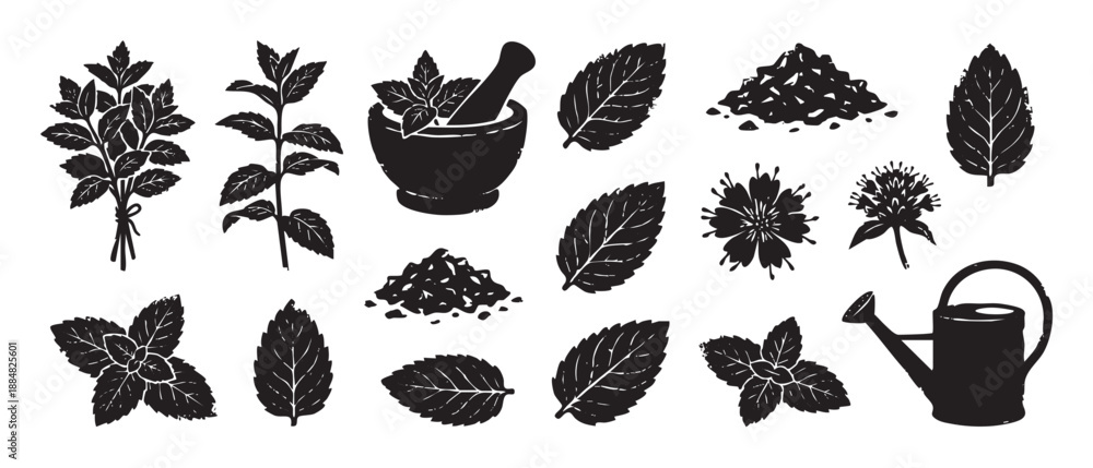 Fototapeta premium Set of black mint herb illustrations in a vintage woodcut style showing leaves, flowers, a mortar, pestle, and watering can for gardening and culinary concepts