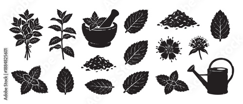 Set of black mint herb illustrations in a vintage woodcut style showing leaves, flowers, a mortar, pestle, and watering can for gardening and culinary concepts