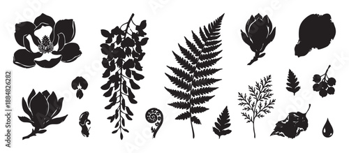 Collection of black botanical silhouettes featuring magnolia flowers, wisteria blossoms, fern fronds, and various leaves in a graphic, hand-drawn stamp style