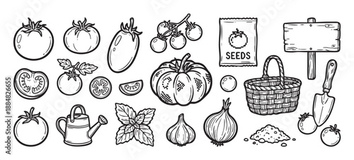 Hand drawn black and white gardening icons set with tomatoes, pumpkin, onion, basil, and tools like a basket and watering can, perfect for farming and harvest themes