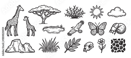 Hand-drawn savanna wildlife and nature elements set with a giraffe, acacia tree, eagle, and skull in a black and white sketch style for creative design projects