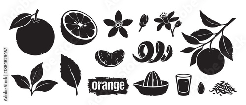 Collection of orange fruit vector elements in a black silhouette woodcut style, including a citrus slice, blossom, leaf, branch, juicer, peel, and a glass of fresh juice