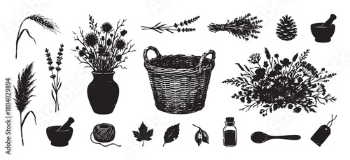 Set of hand-drawn black ink illustrations with a rustic, vintage aesthetic, depicting botanical elements like wildflowers, herbs, a wicker basket, and herbalism tools