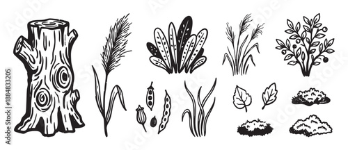Collection of hand-drawn forest and plant elements in a black ink woodcut style, including a tree stump, grass, berry bush, leaves, and pea pods for nature-themed design
