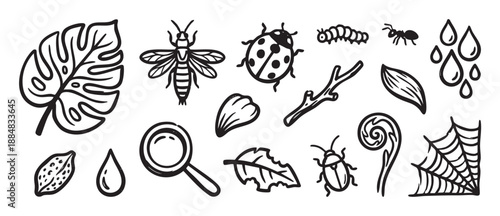 Hand-drawn black and white nature icons set featuring various insects, leaves, a spiderweb, and a magnifying glass in a simple doodle sketch style for educational projects