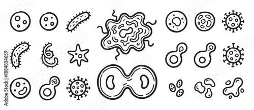 Collection of hand-drawn bacteria and virus icons showing various microscopic organisms, germs, and pathogens in a simple black and white doodle style for science education