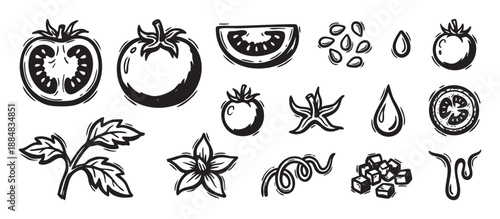 Hand-drawn black and white tomato illustration set showing whole fruit, slices, leaves, flowers, and seeds in a rustic, vintage woodcut style for culinary and farm concepts
