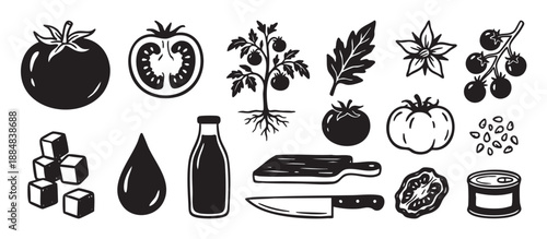 Set of black hand-drawn tomato icons showing the whole vegetable, a plant with roots, a flower, leaf, seeds, and various food products like sauce, juice, and canned goods
