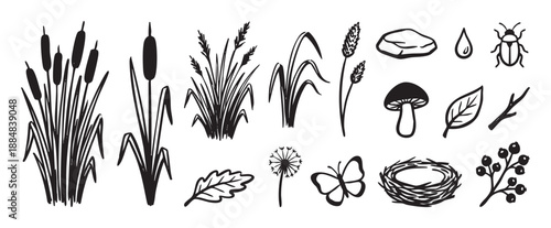 Hand-drawn black and white nature illustrations of various forest and pond elements like cattails, a mushroom, butterfly, and bird's nest in a simple doodle sketch style
