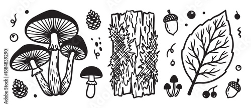 Hand-drawn black and white forest elements collection with mushrooms, a leaf, acorns, pinecones, and tree bark in a cute, graphic doodle illustration style