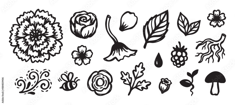 Obraz premium Hand-drawn collection of black ink floral and botanical doodles including flowers, leaves, a bee, and a mushroom in a simple, sketchy style perfect for nature-themed designs