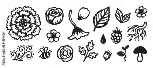 Hand-drawn collection of black ink floral and botanical doodles including flowers, leaves, a bee, and a mushroom in a simple, sketchy style perfect for nature-themed designs
