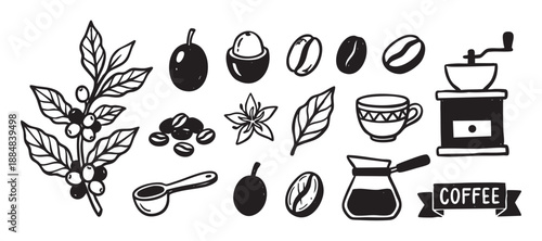 Collection of hand-drawn coffee icons showing the process from plant to cup, including beans, a grinder, and a pot, in a simple black and white doodle style illustration set