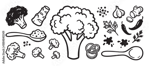 Hand-drawn set of broccoli, cauliflower, and various cooking ingredients like garlic, ginger, and chili pepper in a simple black and white doodle style illustration collection