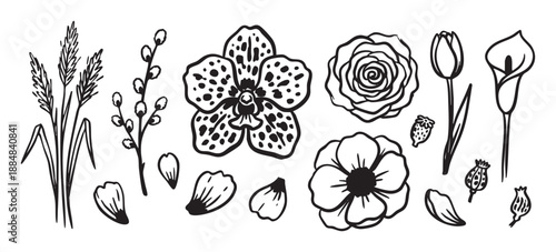 Collection of hand-drawn black ink flowers and plants including an orchid, rose, tulip, and calla lily in a simple minimalist doodle style illustration set for botanical design
