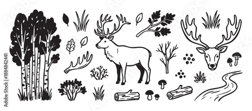Set of hand-drawn forest elements featuring a majestic deer, birch trees, mushrooms, and woodland icons in a simple black and white doodle style for nature-themed design