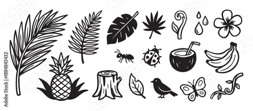 Set of hand-drawn tropical nature icons featuring palm leaves, pineapple, coconut drink, and jungle animals in a black and white doodle style illustration collection
