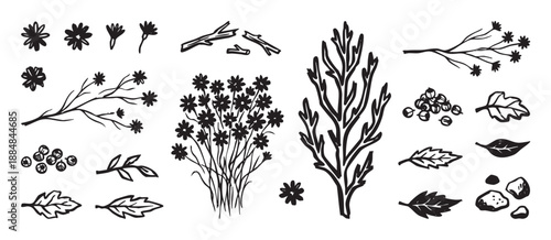 Set of hand-drawn floral and nature elements including flowers, leaves, branches, berries, and twigs in a rustic black and white ink sketch illustration style