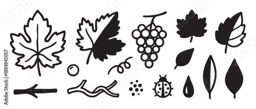 Hand-drawn black and white doodle icons featuring grapes, vine leaves, a ladybug, and other nature elements in a simple, graphic, minimalist style for creative design projects