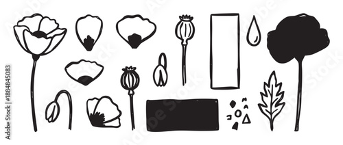 Hand drawn black and white poppy flower elements set with petals, buds, seed pods, and abstract shapes in a minimalist doodle style illustration for graphic design