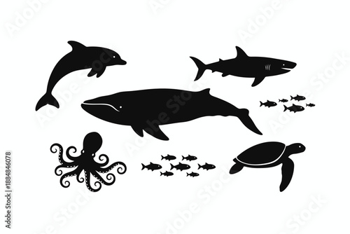 Dolphins, Sharks, Whales, Turtles, Octopus Illustrations in Ocean Environment