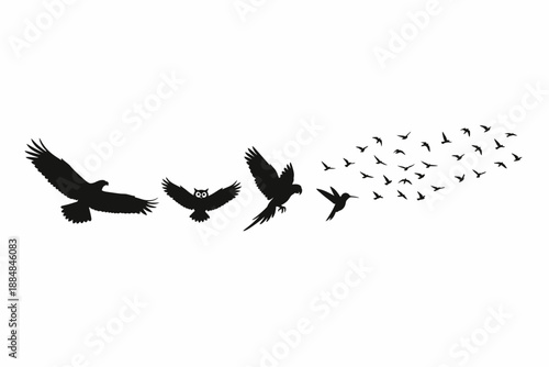 Birds in Flight, Wildlife, Open Sky, Silhouette Artwork, Dynamic Scene, Aerial View, Nature's Beauty