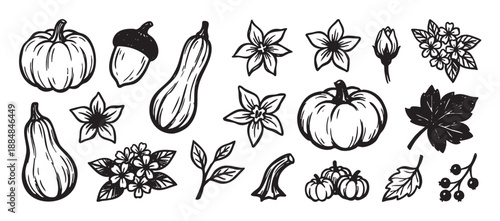 Hand-drawn black and white autumn elements set featuring pumpkins, gourds, flowers, leaves, and an acorn in a rustic, graphic doodle or linocut illustration style for seasonal design