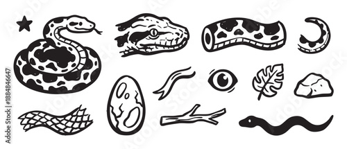 Hand-drawn black and white snake illustrations set with various reptile and nature elements like a coiled serpent, eye, egg, and leaf in a rough, sketchy linocut style