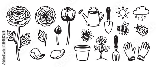 Collection of hand-drawn gardening icons featuring ranunculus flowers, tools, insects, and weather symbols in a simple black and white outline doodle style