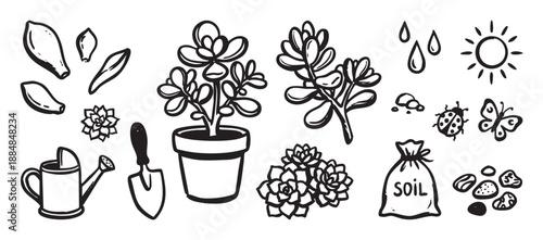 Hand-drawn set of succulent gardening icons including a potted plant, watering can, trowel, soil, and seeds in a charming black and white doodle line art illustration style