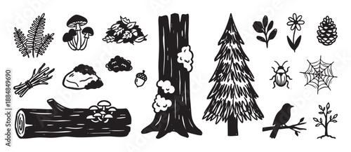 Set of hand drawn black woodland elements with a tree, log, mushroom, fern, bird, and pinecone in a simple monochrome doodle illustration style