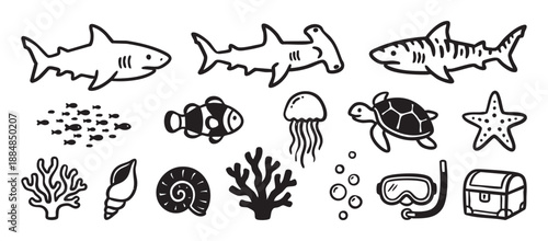 Hand-drawn set of black and white ocean icons including a shark, hammerhead, clownfish, turtle, and starfish with a diving mask and treasure chest in a cute cartoon doodle style