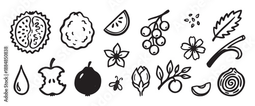 Set of hand-drawn food and nature icons featuring fruit, berries, flowers, and spices in a simple black and white doodle style for culinary or botanical graphic design