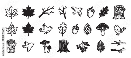 Large set of hand-drawn forest icons featuring autumn elements like maple leaves, acorns, birds, mushrooms, pinecones, and tree stumps in a simple black and white doodle style
