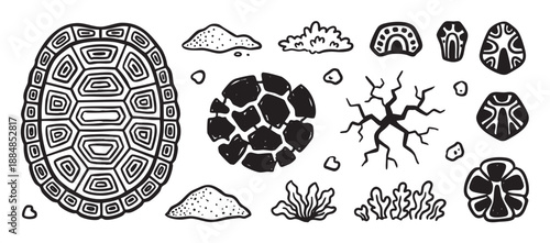 Collection of black and white nature-themed illustrations with a turtle shell, cracked earth, rocks, and tribal patterns in a hand-drawn, linocut artistic style