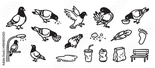 Collection of hand drawn pigeon illustrations and urban elements in a simple black and white doodle style, showing birds eating, flying, and perching near city trash and a bench