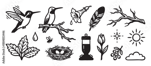 Set of hand-drawn nature illustrations featuring a hummingbird, nest, feeder, and botanical elements in a bold, black and white graphic linocut or stamp style