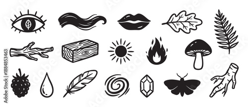 Set of hand-drawn mystical and nature symbols including a moth, fire, sun, water drop, and plant elements, illustrated in a bold black and white linocut graphic style