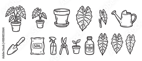 Hand-drawn gardening and houseplant care icons set with potted plants, watering can, trowel, soil, and fertilizer in a simple black and white doodle vector illustration style
