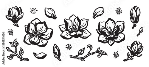Hand drawn black and white magnolia flower set with blooming blossoms, buds, petals, and branches in an elegant botanical sketch style with detailed linework for design