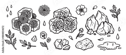 Frozen floral ice cubes with flowers inside, a hand-drawn black and white collection of doodle illustrations including crystals, water drops, and leaves for a botanical design set