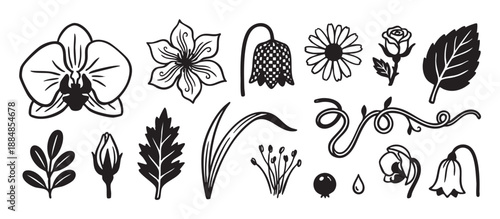 Collection of hand-drawn botanical illustrations with various flowers like orchids and roses, leaves, and buds in a simple black and white line art and silhouette graphic style