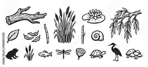 Set of hand-drawn pond life illustrations with a frog, turtle, heron, fish, and water lily in a bold black and white graphic woodcut style