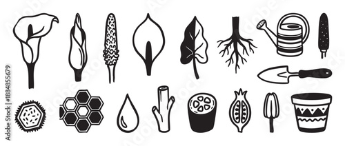 Set of hand-drawn gardening icons featuring a calla lily, watering can, trowel, plant pot, roots, and various fruits and flowers in a bold black and white linocut style