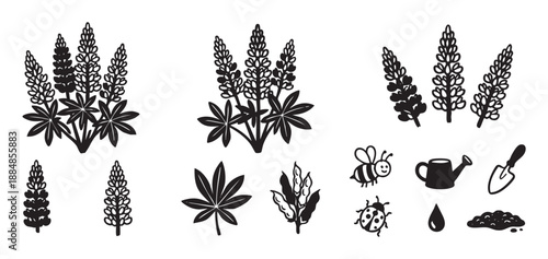 Black and white lupine flower illustrations set with hand-drawn gardening icons including a bee, ladybug, watering can, trowel, and soil for a cute, natural design concept