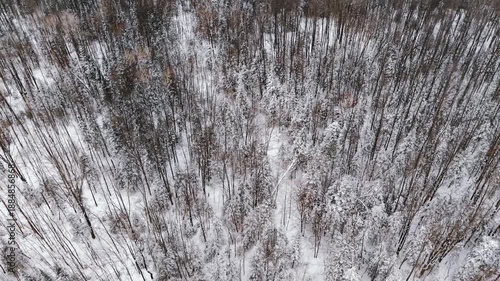 drone flying over snow covered forest