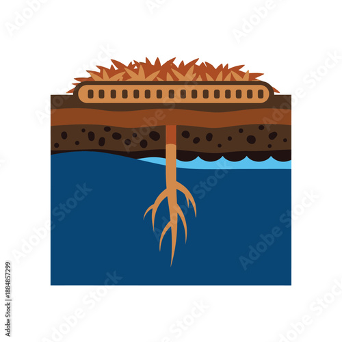 Plant Root System Diagram Accessing Underground Water Table in Soil Cross-Section