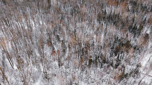 drone flying over snow covered forest