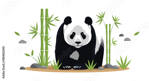 A full body illustration of a panda bear sitting in a bamboo forest with rocks and grass.